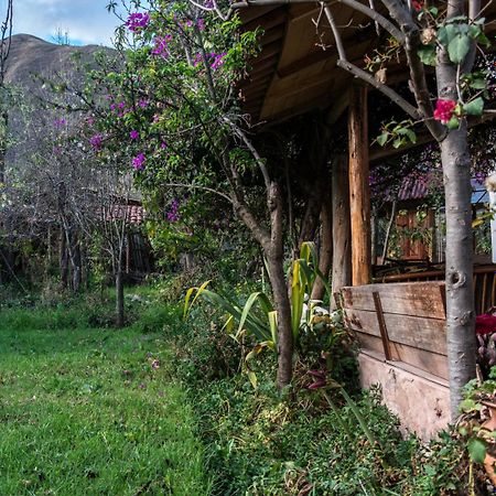 Eco Lodge Los Perales-Urubamba Luaran gambar