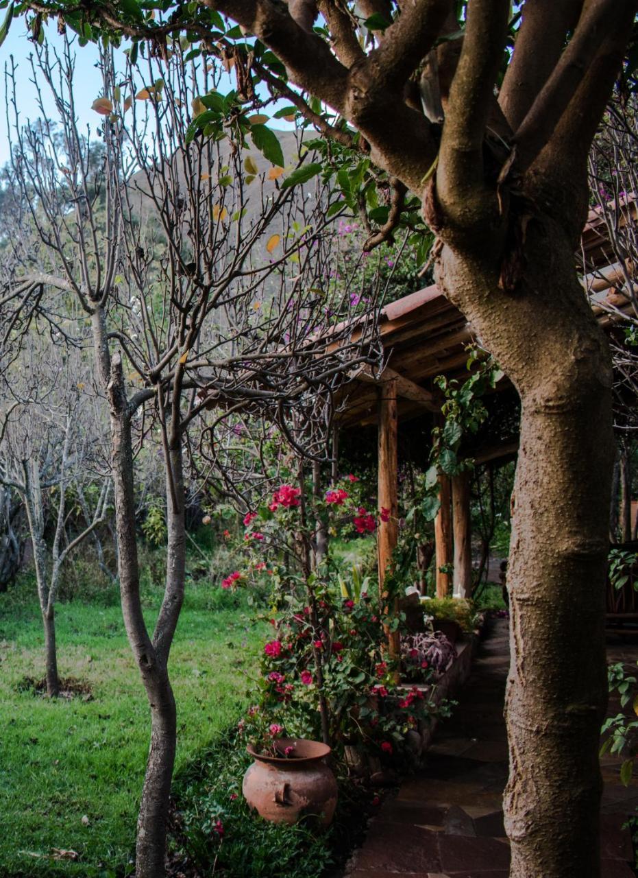 Eco Lodge Los Perales-Urubamba Luaran gambar